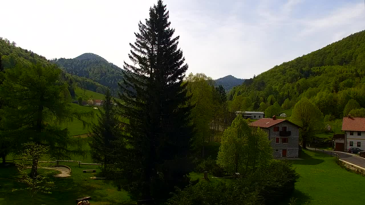 Webcam Lokve – Die Schönheit des Trnovo-Waldes