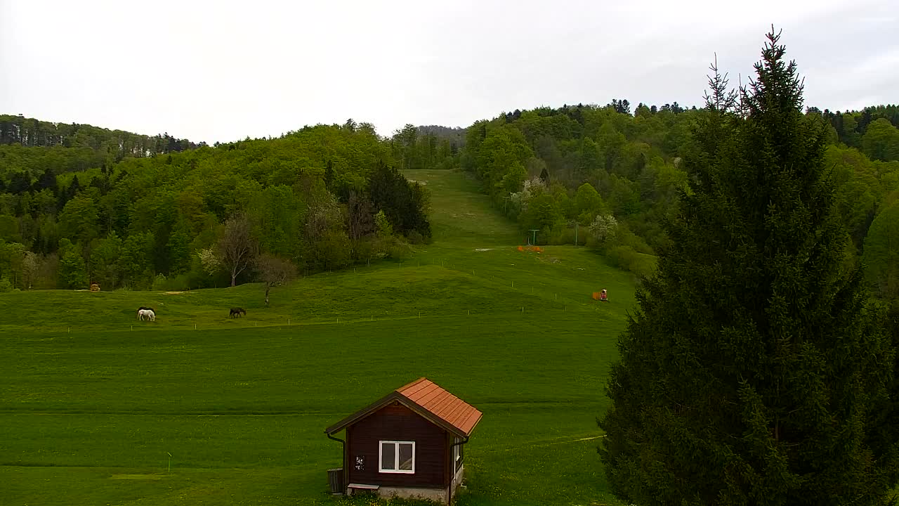 Webcam Lokve – La beauté de la forêt de Trnovo