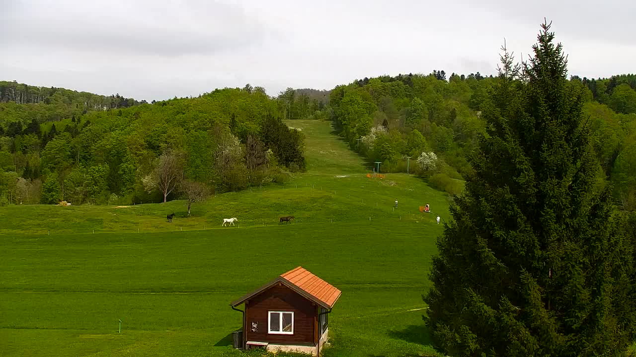 Webcam Lokve – The beauty of the Trnovo forest