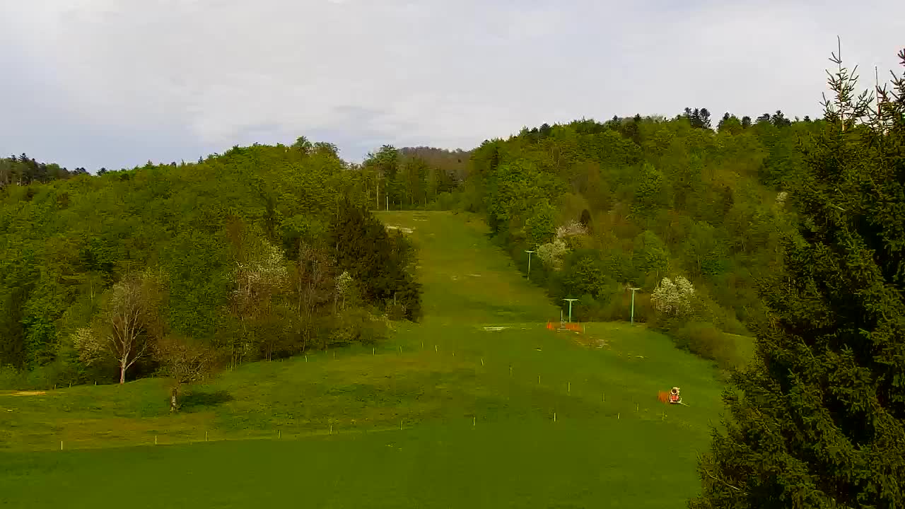Webcam Lokve – La beauté de la forêt de Trnovo