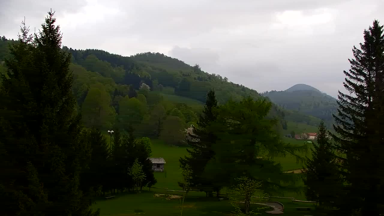 Webcam Lokve – The beauty of the Trnovo forest