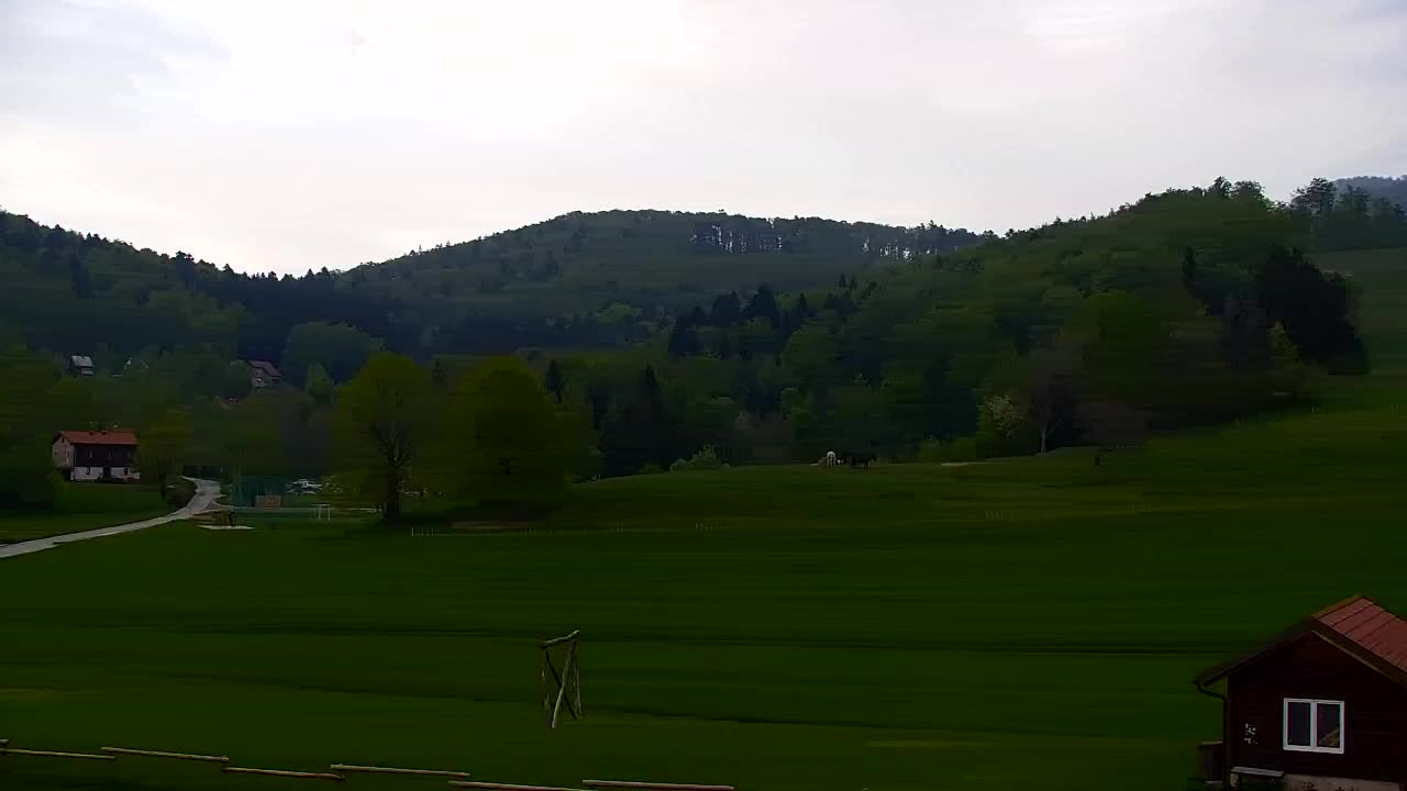 Webcam Loqua / Lokve – La bellezza della selva di Tarnova