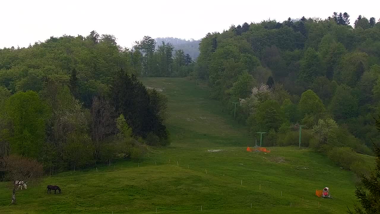 Webcam Lokve – The beauty of the Trnovo forest
