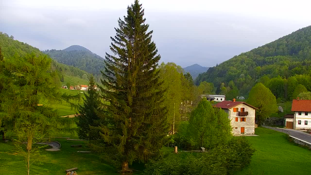 Webcam Lokve – The beauty of the Trnovo forest