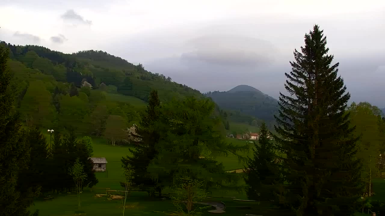 Webcam Lokve – La beauté de la forêt de Trnovo