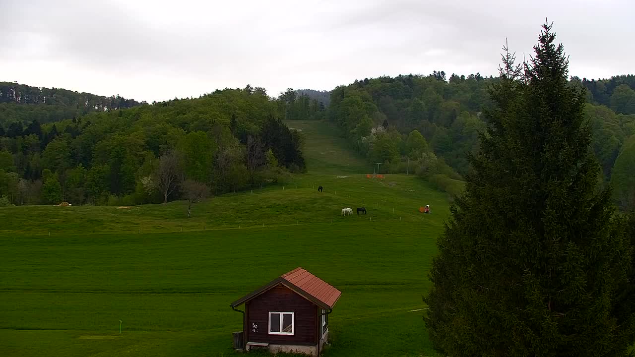Webcam Lokve – The beauty of the Trnovo forest