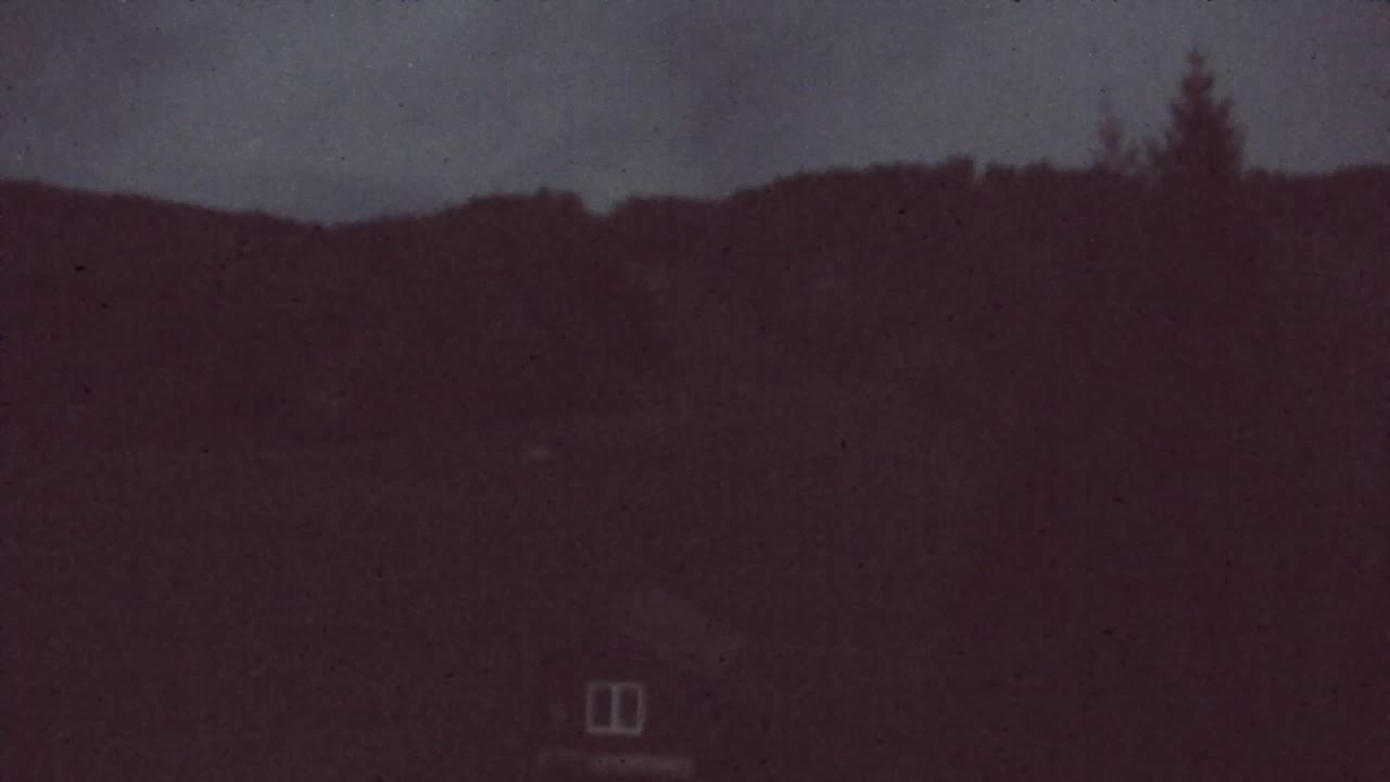 Webcam Loqua / Lokve – La bellezza della selva di Tarnova