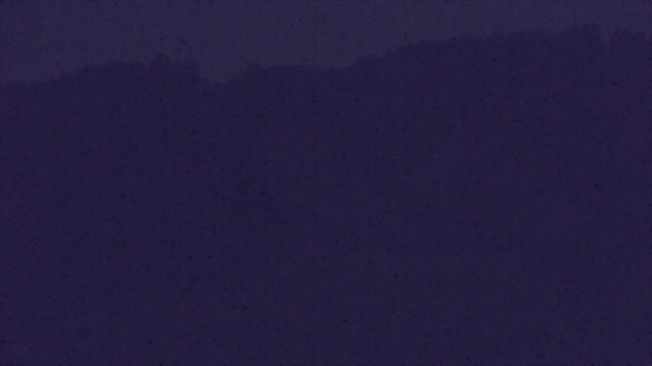 Webcam Lokve – The beauty of the Trnovo forest