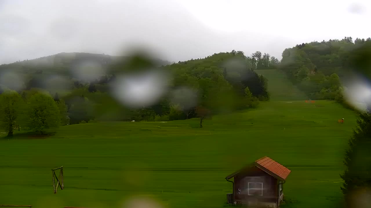 Webcam Lokve – The beauty of the Trnovo forest