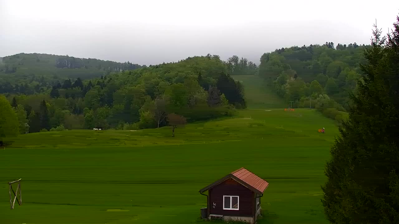 Webcam Lokve – The beauty of the Trnovo forest