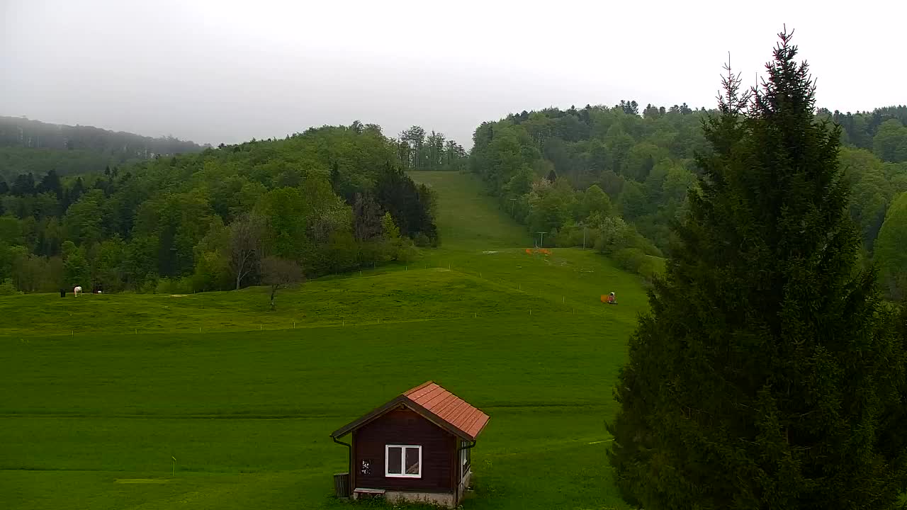 Webcam Lokve – The beauty of the Trnovo forest