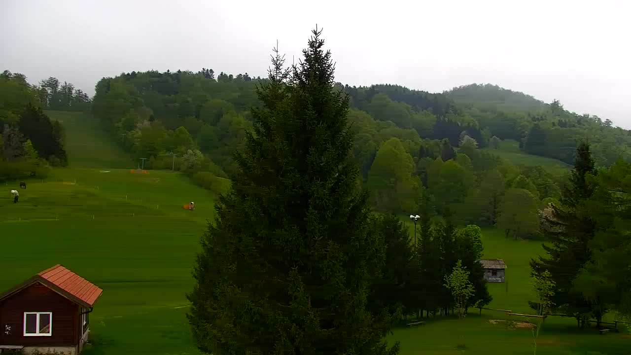 Webcam Lokve – Die Schönheit des Trnovo-Waldes