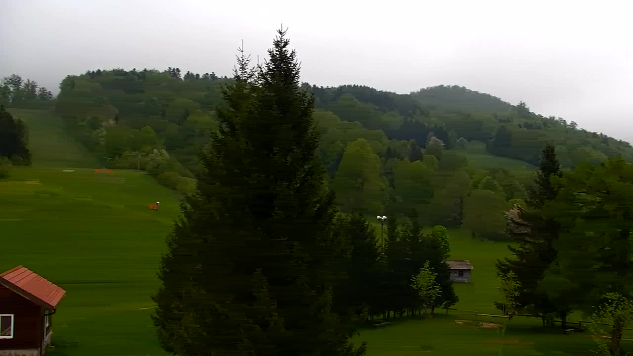 Camera en vivo Lokve – La belleza del bosque de Trnovo