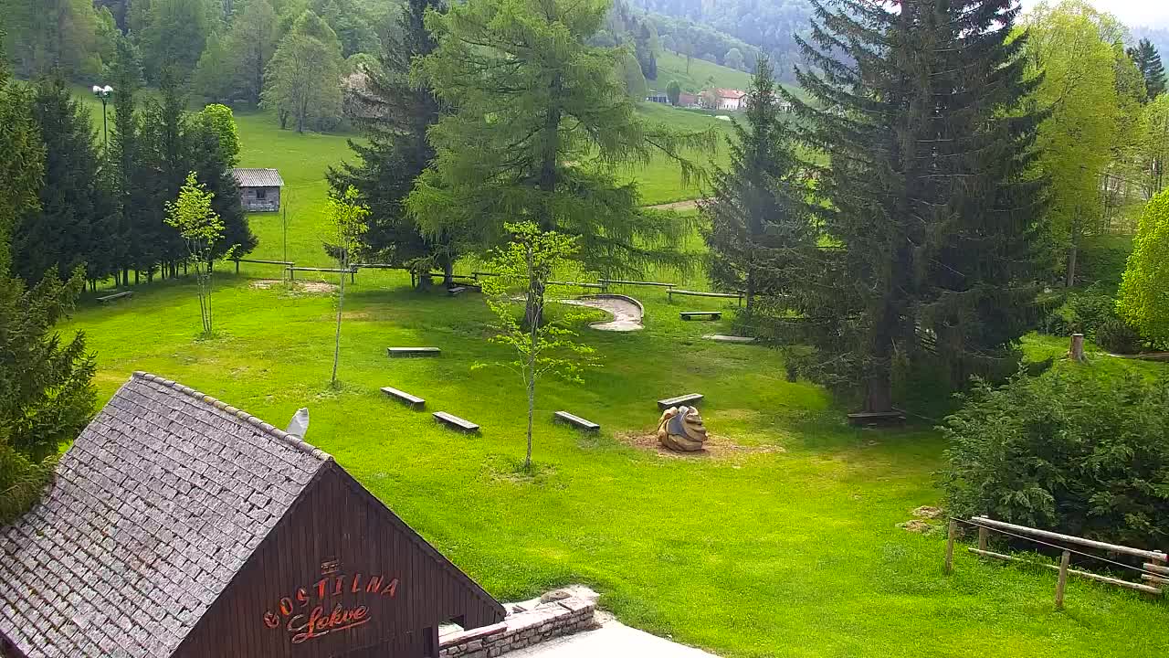 Webcam Lokve – The beauty of the Trnovo forest