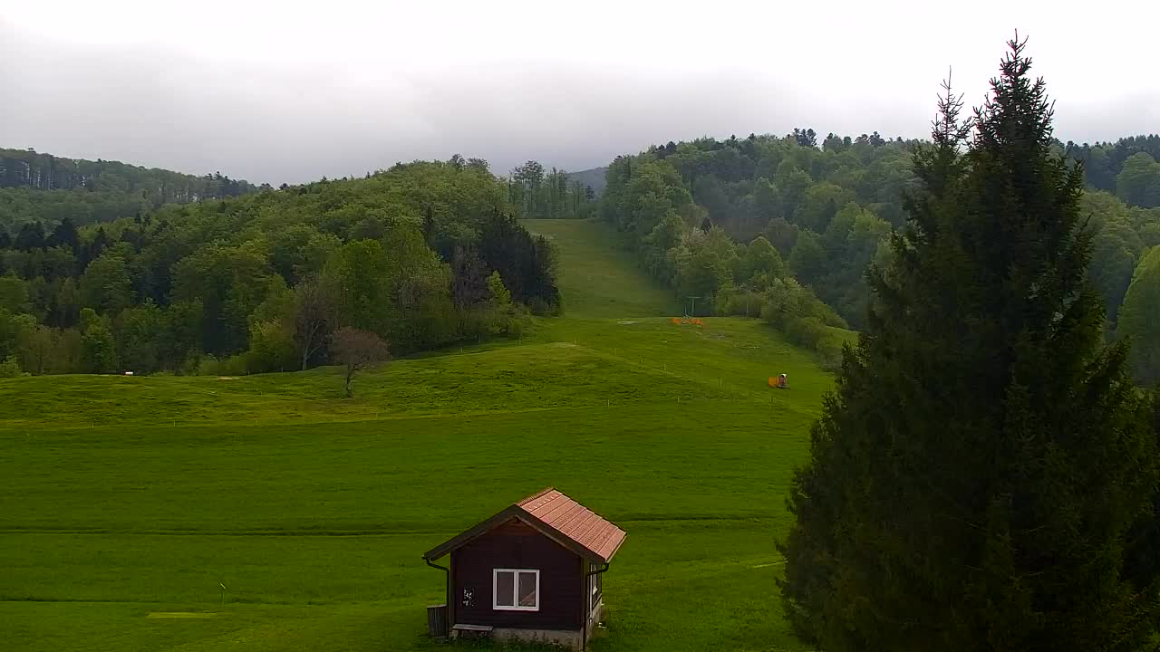 Webcam Lokve – The beauty of the Trnovo forest