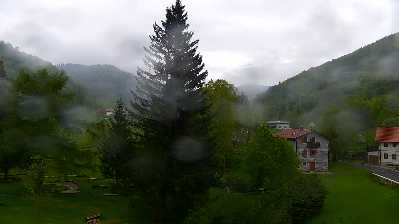 Webcam Loqua / Lokve – La bellezza della selva di Tarnova