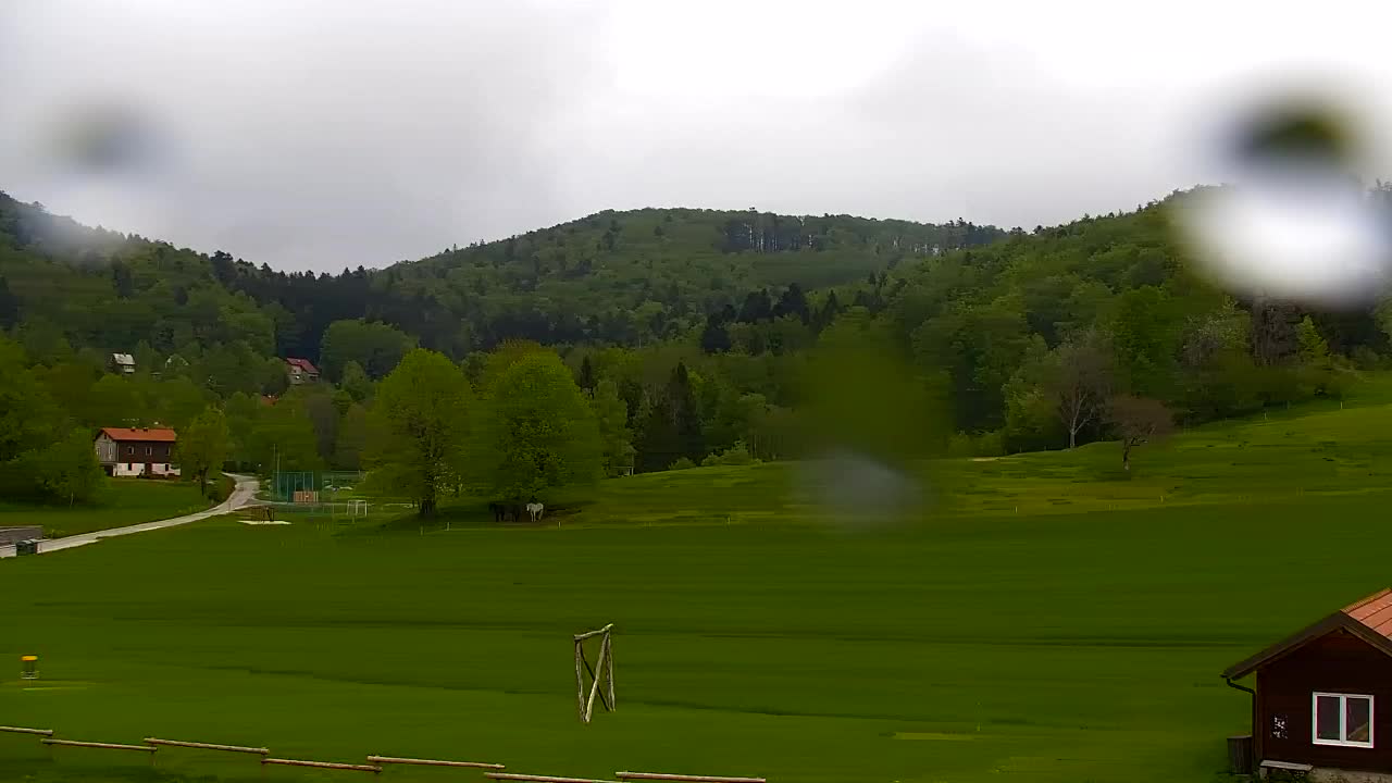 Webcam Lokve – La beauté de la forêt de Trnovo