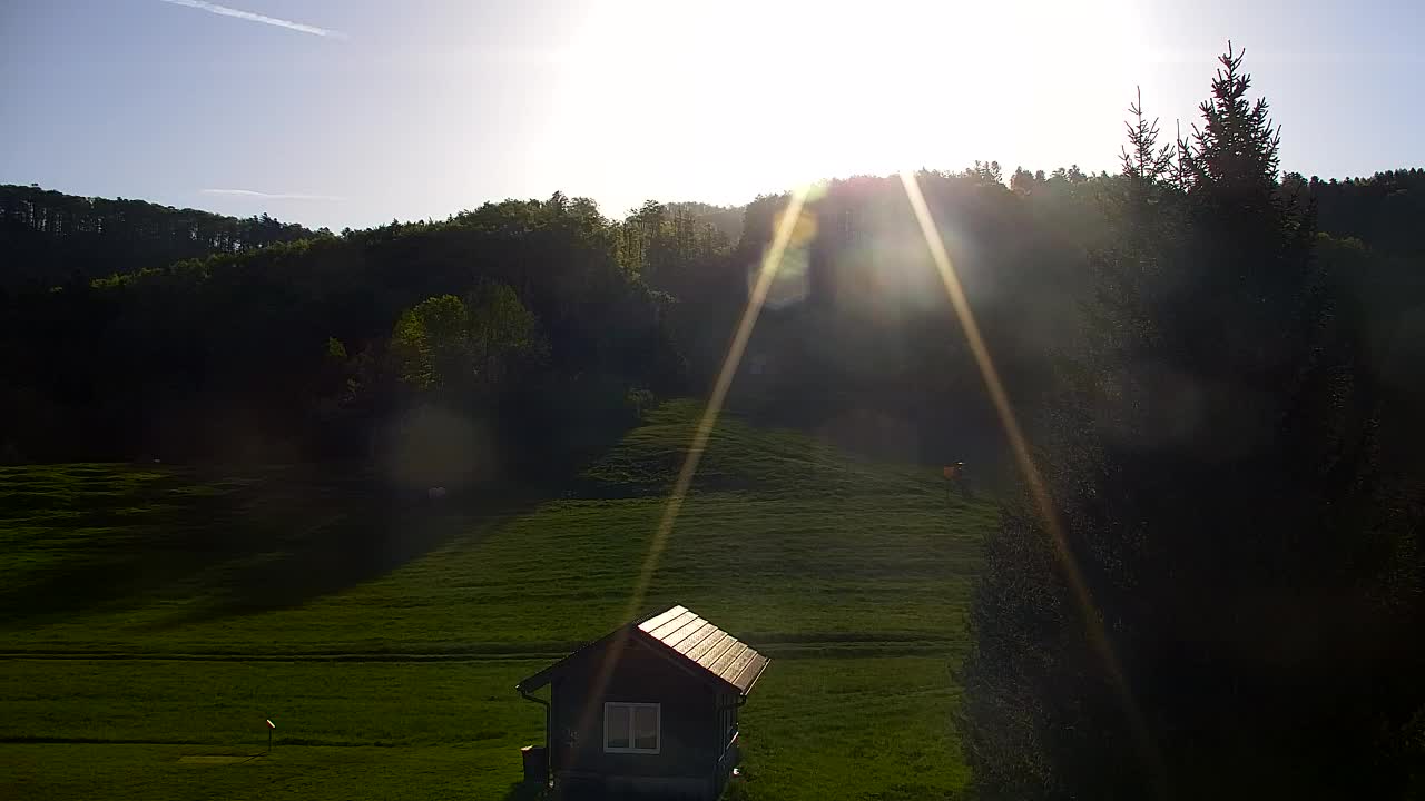 Camera en vivo Lokve – La belleza del bosque de Trnovo