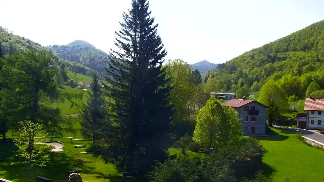 Webcam Loqua / Lokve – La bellezza della selva di Tarnova