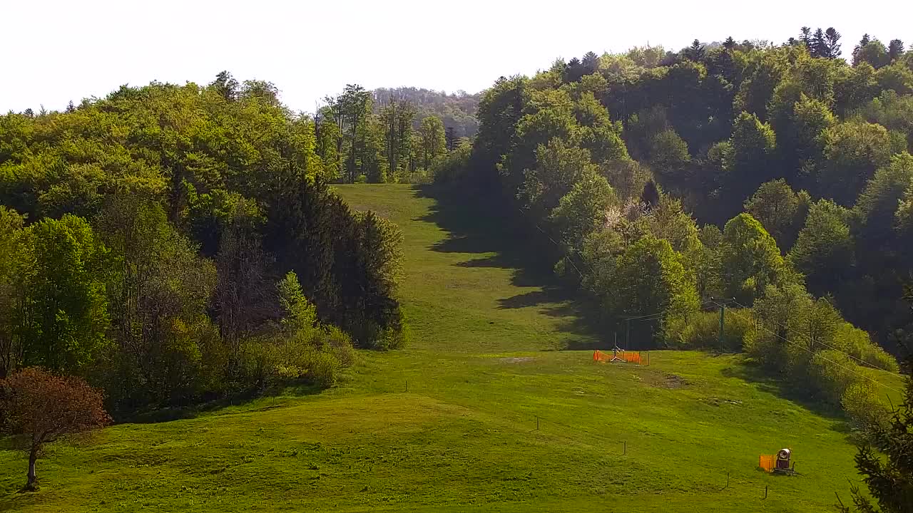 Webcam Lokve – La beauté de la forêt de Trnovo