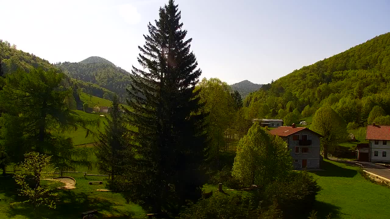 Webcam Lokve – The beauty of the Trnovo forest
