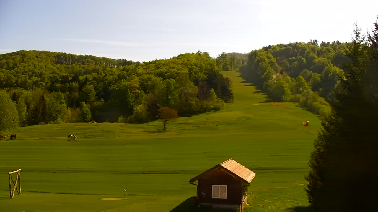 Webcam Lokve – La beauté de la forêt de Trnovo