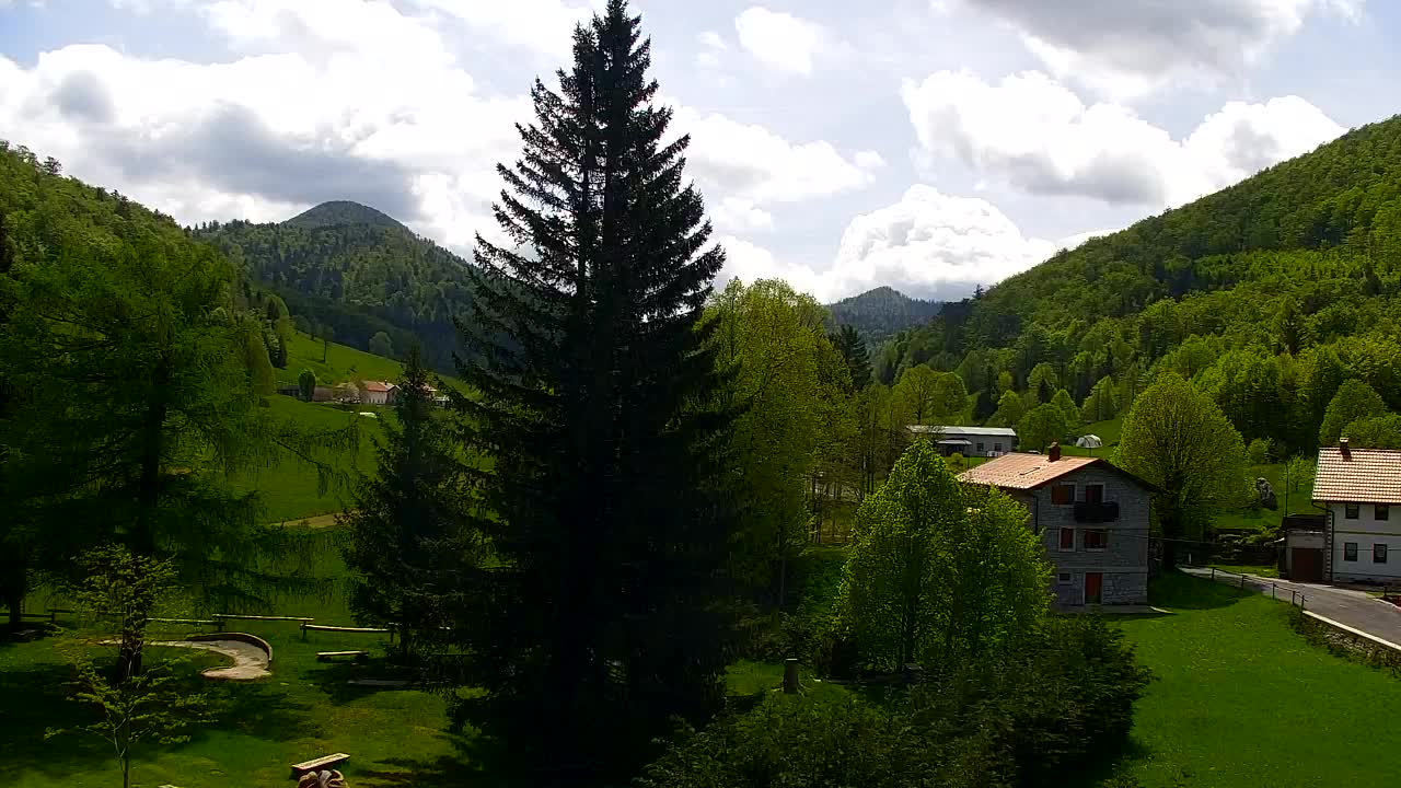 Webcam Lokve – The beauty of the Trnovo forest