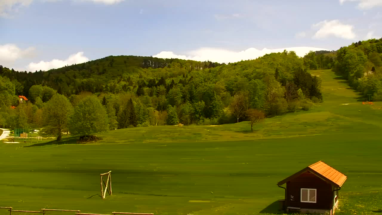 Webcam Loqua / Lokve – La bellezza della selva di Tarnova
