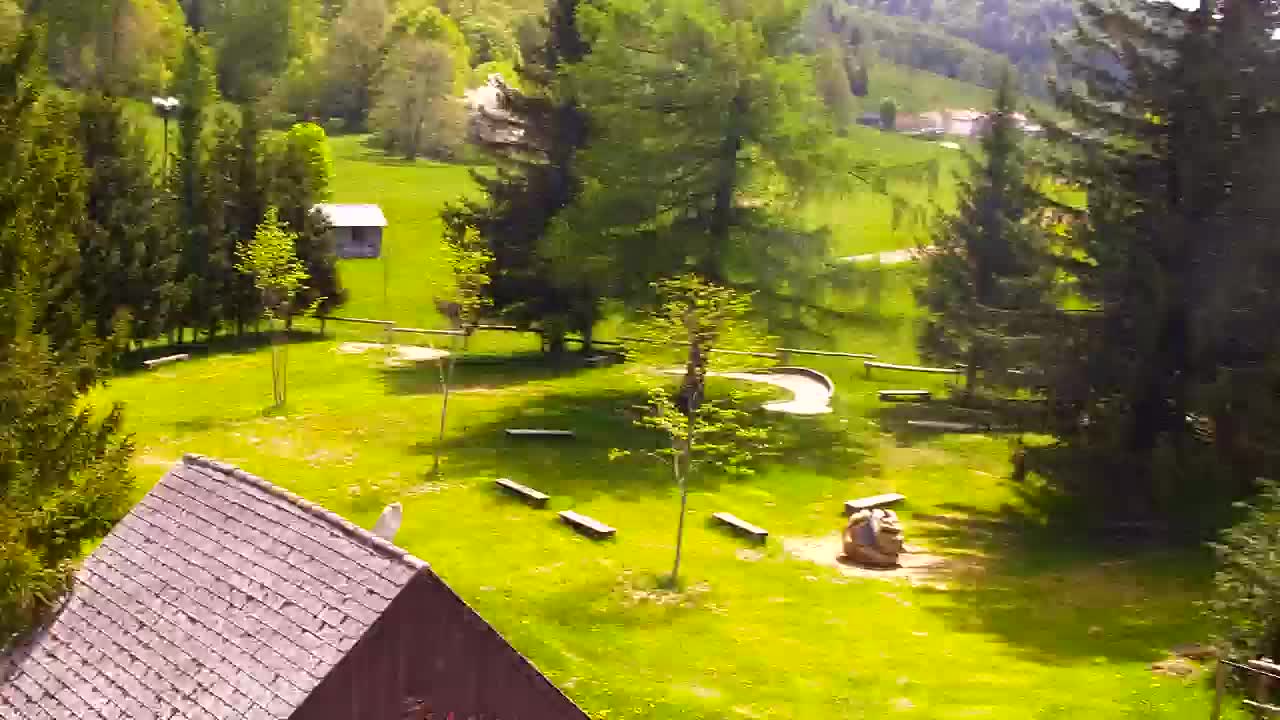 Webcam Lokve – La beauté de la forêt de Trnovo