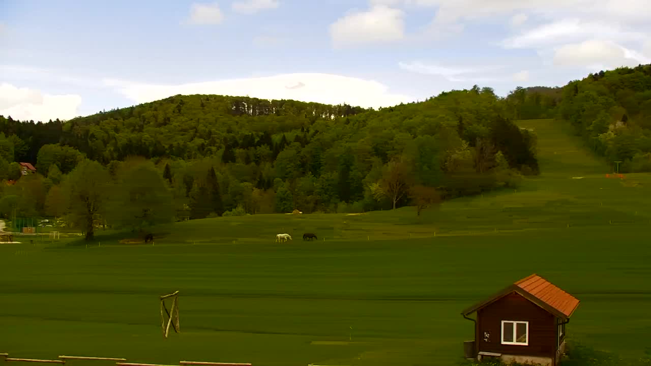 Webcam Lokve – The beauty of the Trnovo forest