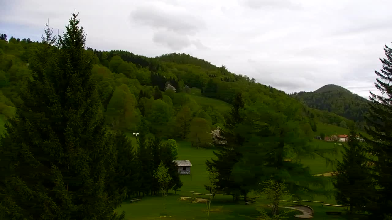 Webcam Lokve – La beauté de la forêt de Trnovo