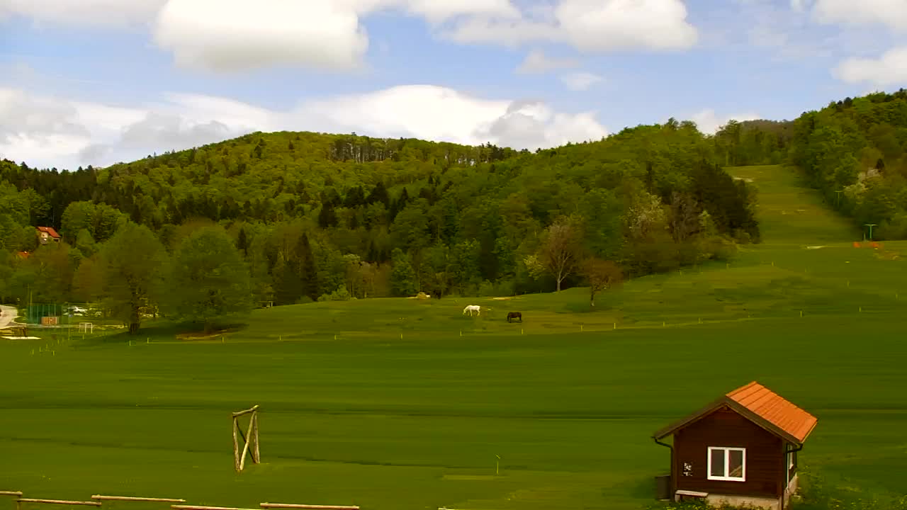 Webcam Lokve – The beauty of the Trnovo forest