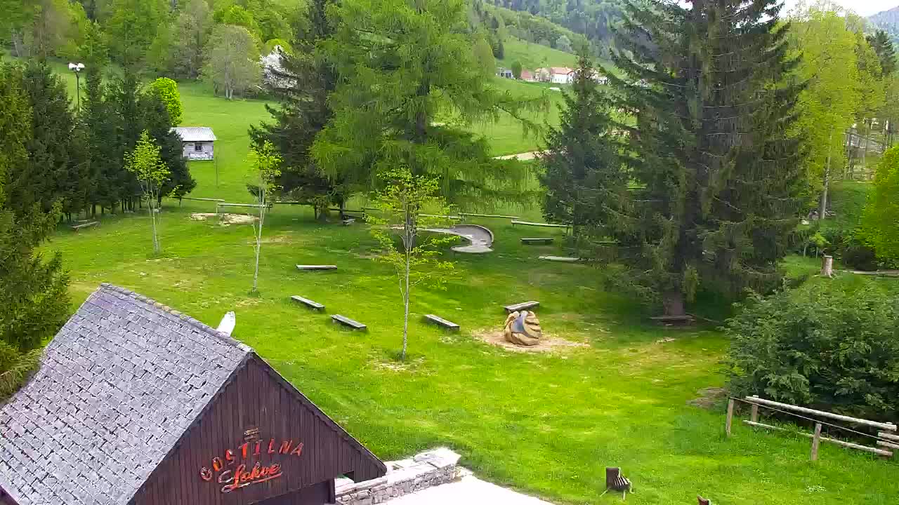 Webcam Loqua / Lokve – La bellezza della selva di Tarnova