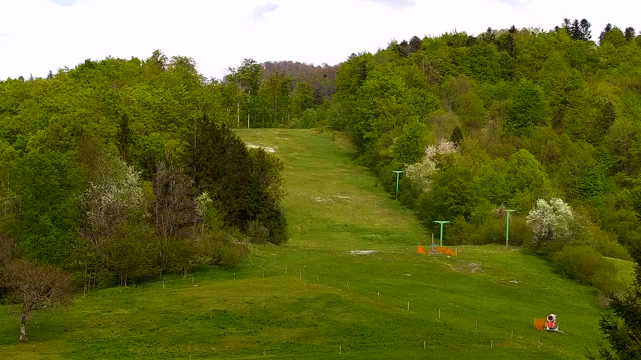 Webcam Loqua / Lokve – La bellezza della selva di Tarnova