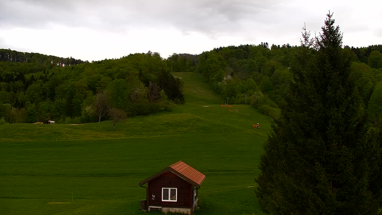 Webcam Lokve – The beauty of the Trnovo forest