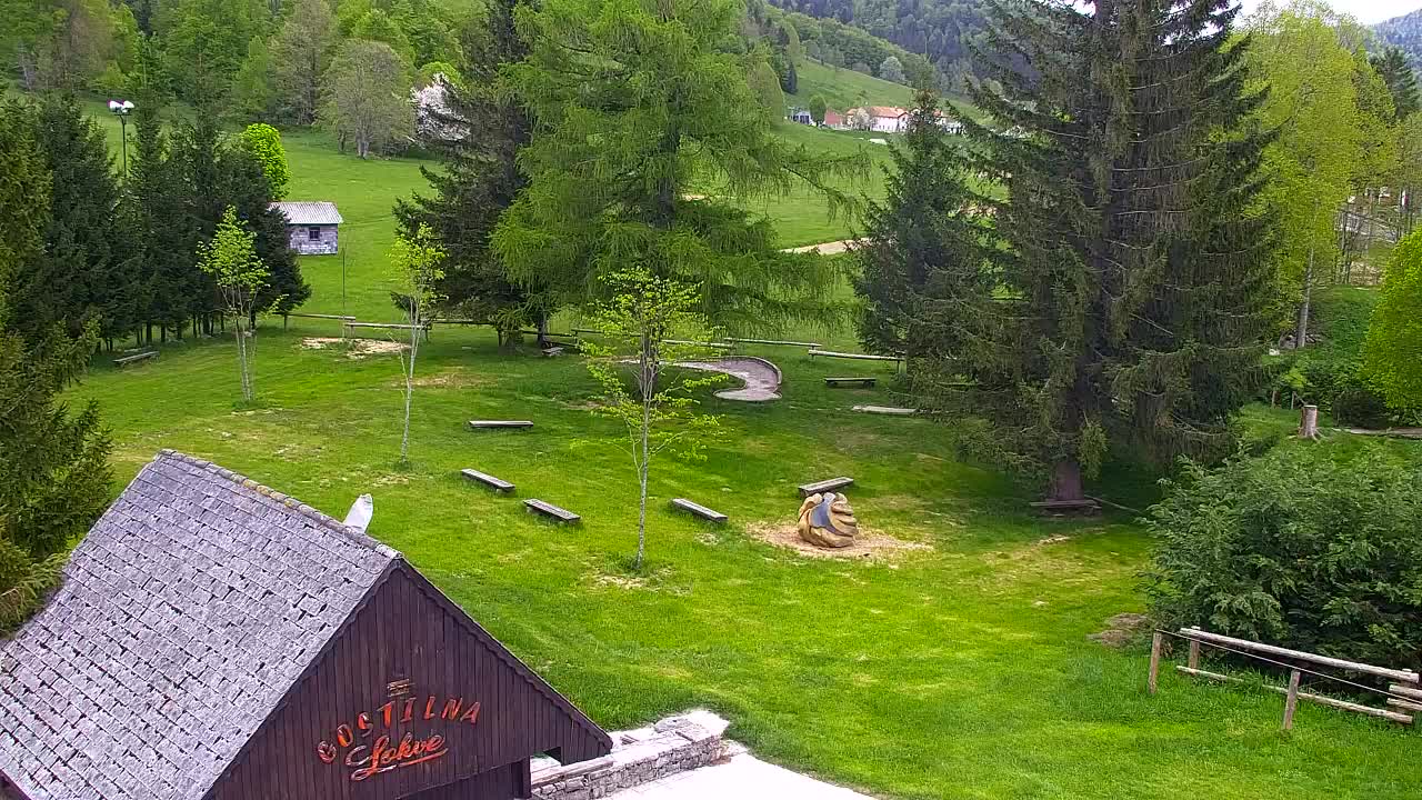 Camera en vivo Lokve – La belleza del bosque de Trnovo
