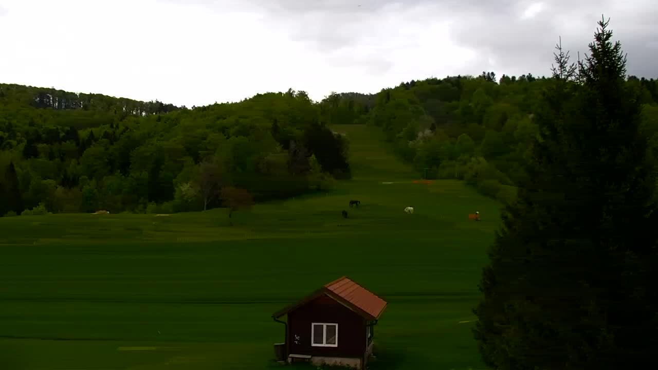 Lokve kamera – Naravne lepote Trnovskega gozda