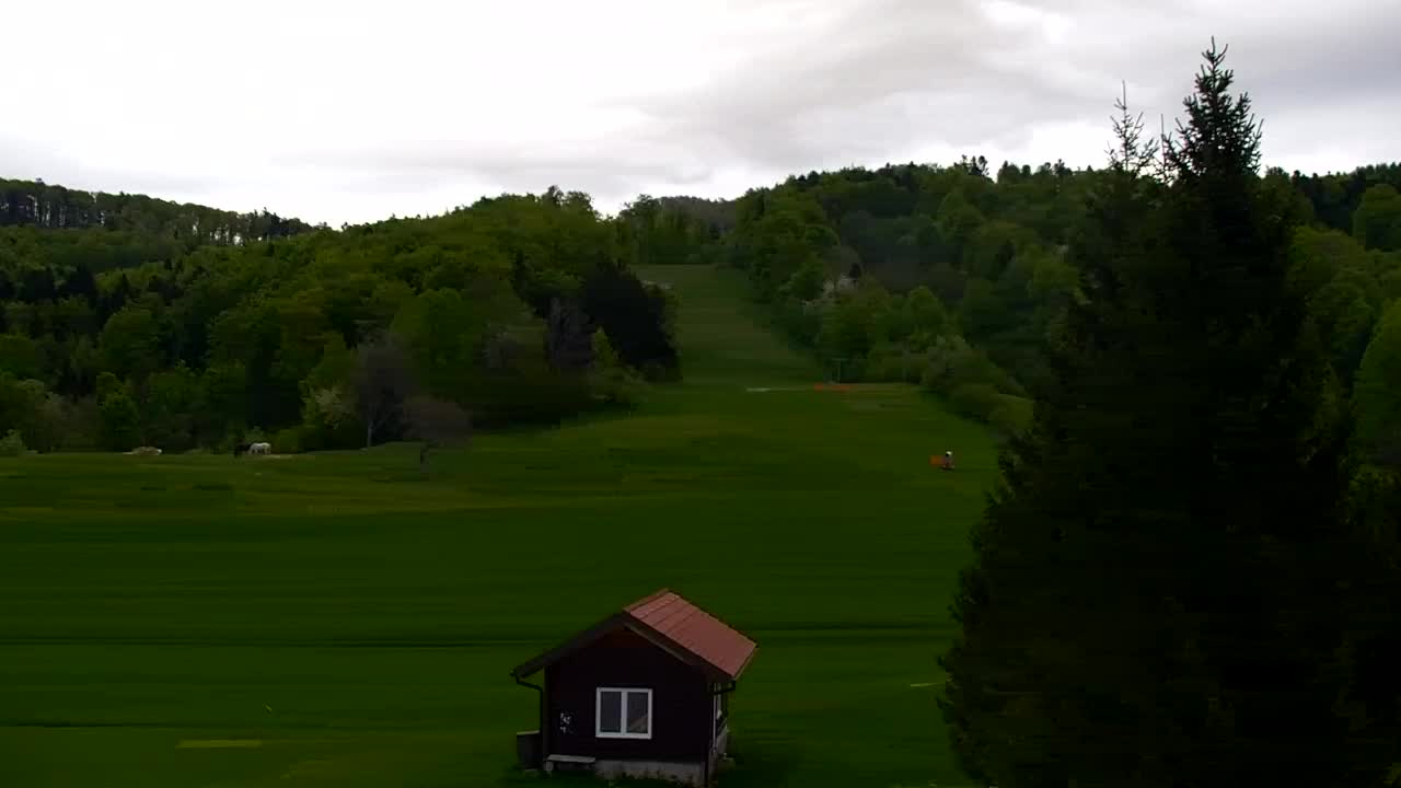 Lokve kamera – Naravne lepote Trnovskega gozda