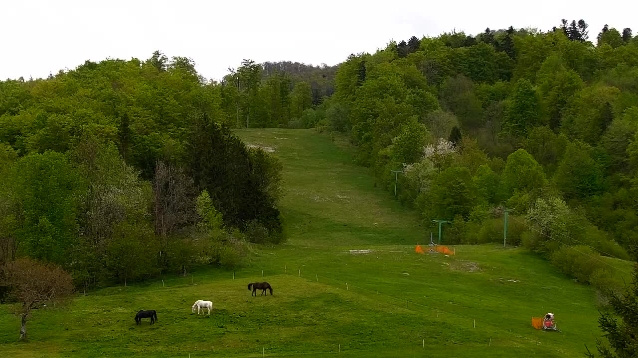 Webcam Lokve – The beauty of the Trnovo forest