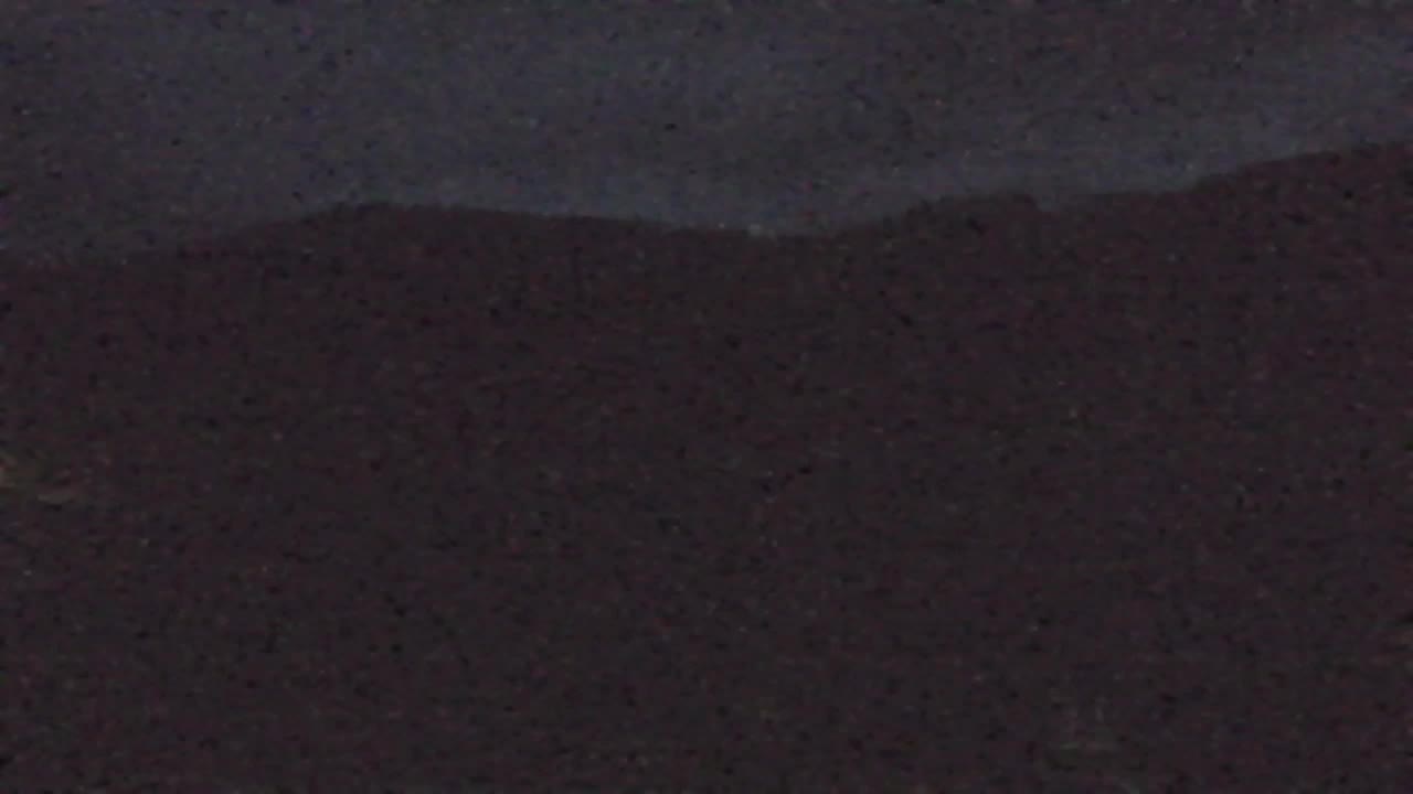 Webcam Loqua / Lokve – La bellezza della selva di Tarnova