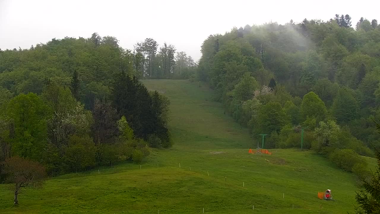 Webcam Lokve – La beauté de la forêt de Trnovo