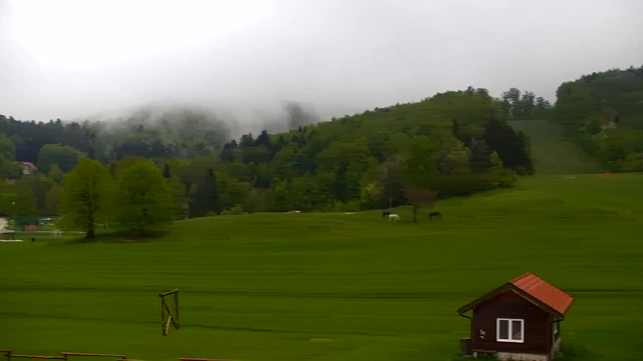Webcam Loqua / Lokve – La bellezza della selva di Tarnova