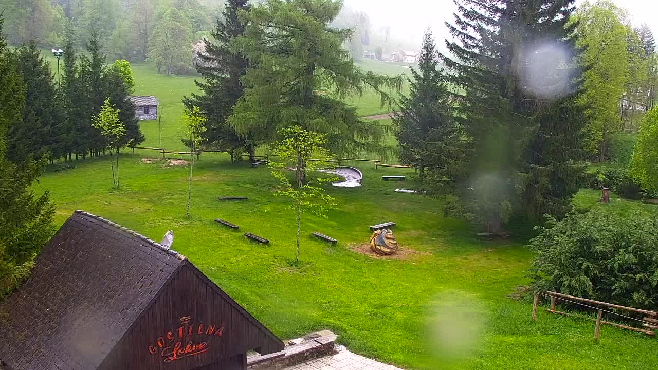 Webcam Lokve – The beauty of the Trnovo forest