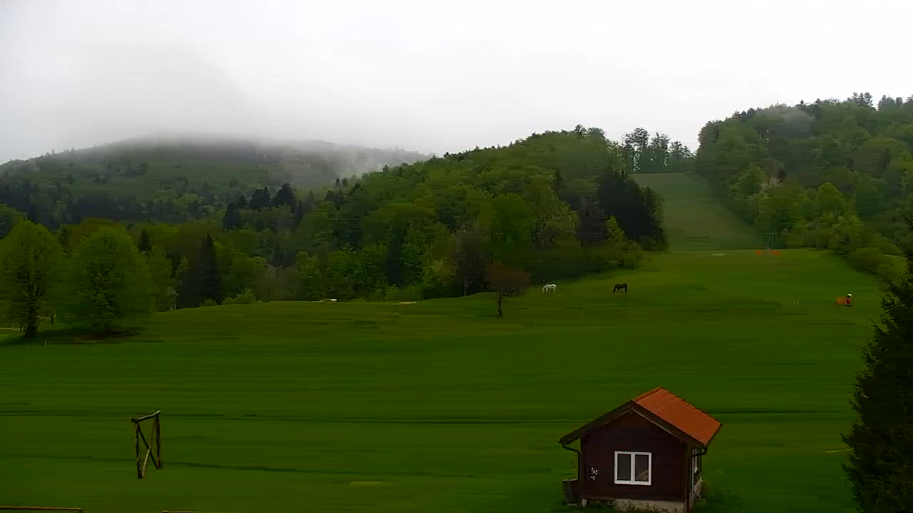 Webcam Lokve – La beauté de la forêt de Trnovo