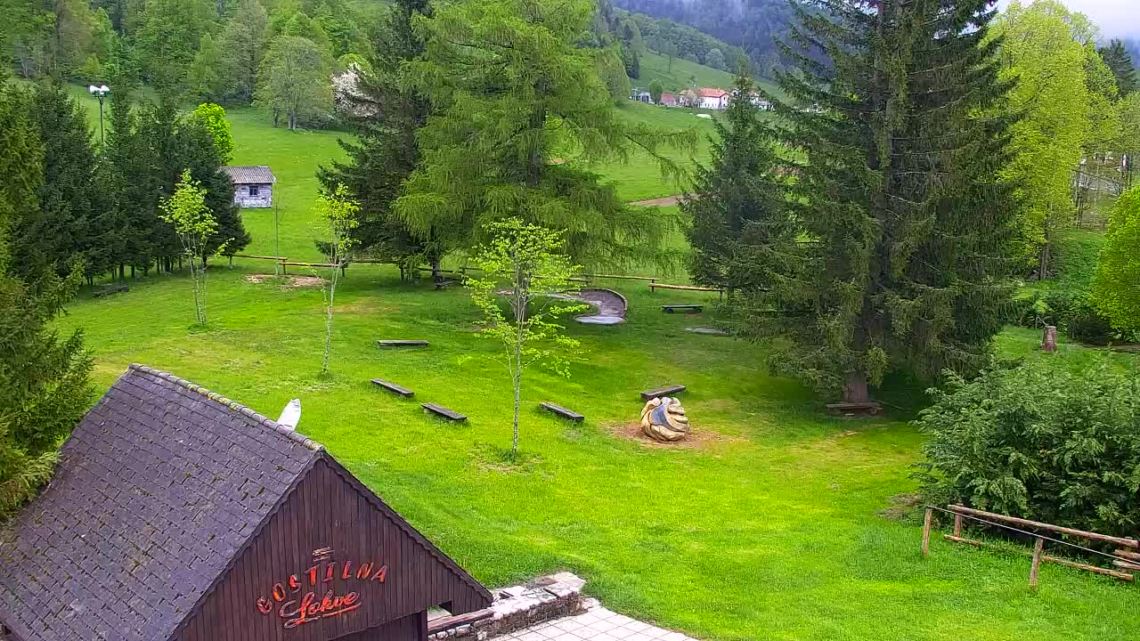 Webcam Loqua / Lokve – La bellezza della selva di Tarnova