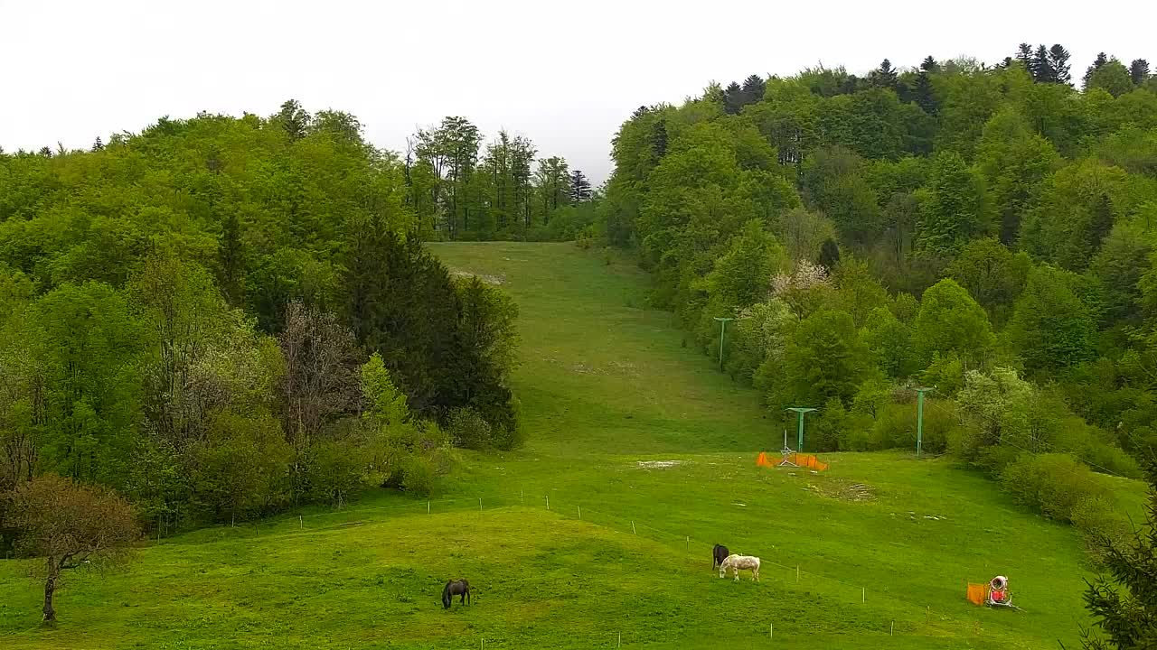 Webcam Lokve – The beauty of the Trnovo forest