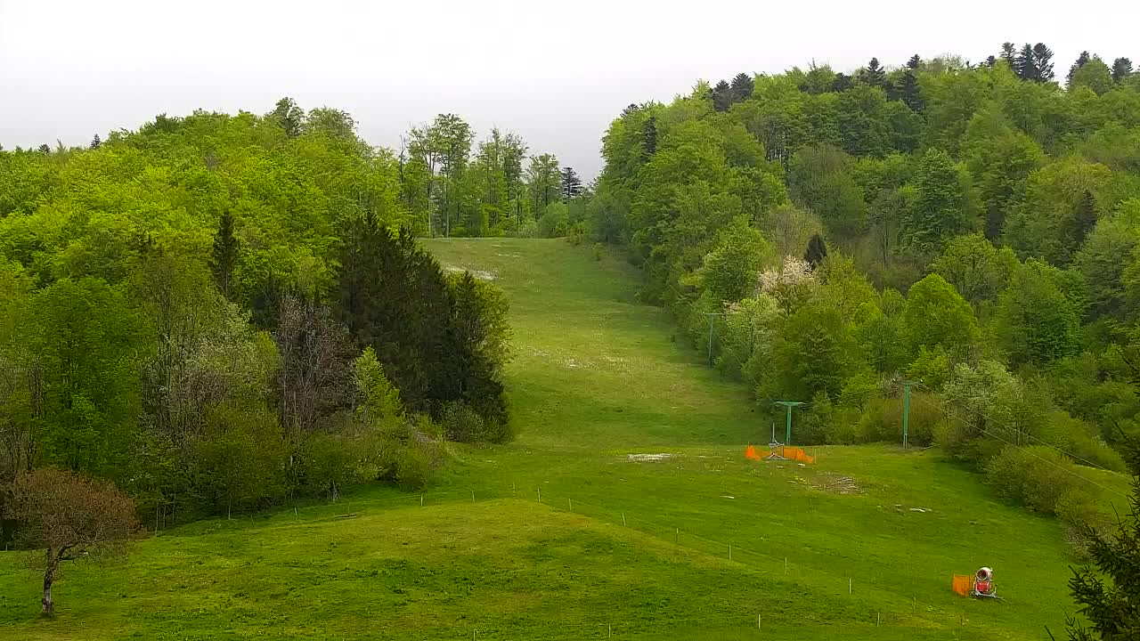 Webcam Lokve – The beauty of the Trnovo forest
