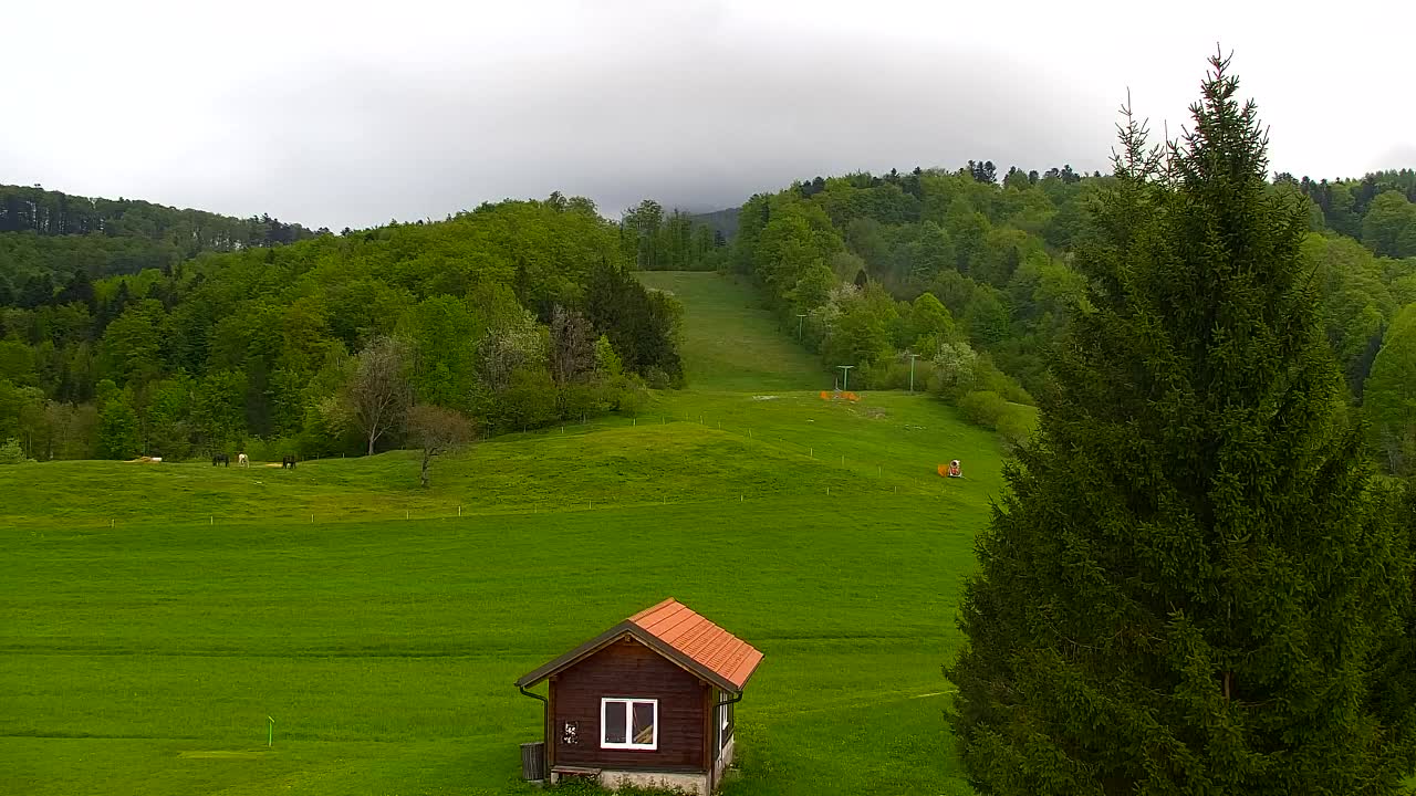 Webcam Lokve – La beauté de la forêt de Trnovo
