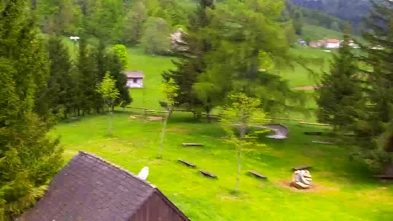 Webcam Lokve – La beauté de la forêt de Trnovo