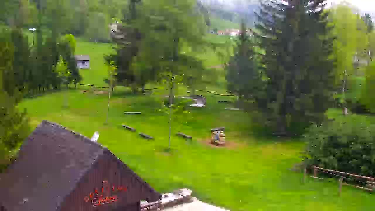 Webcam Lokve – The beauty of the Trnovo forest